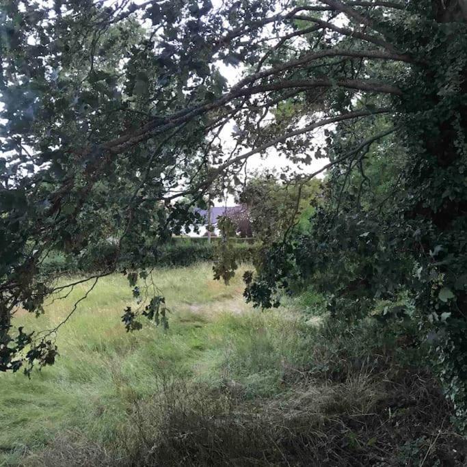 Long Bennington Priory Meadow Cottage מראה חיצוני תמונה