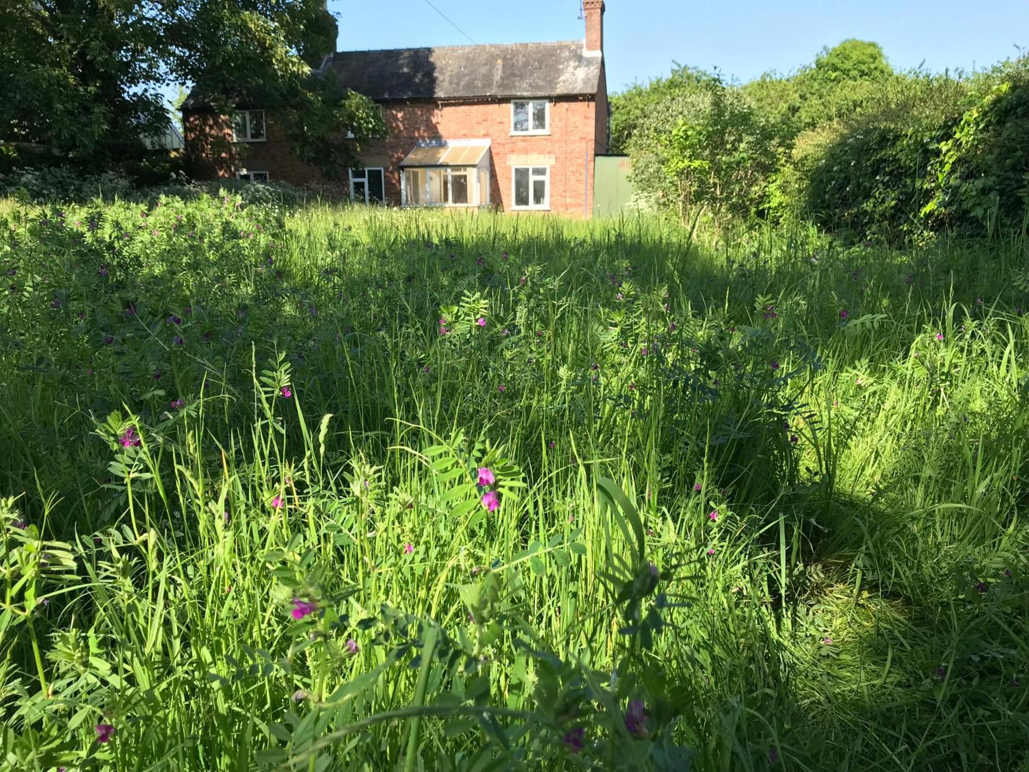 Long Bennington Priory Meadow Cottage מראה חיצוני תמונה
